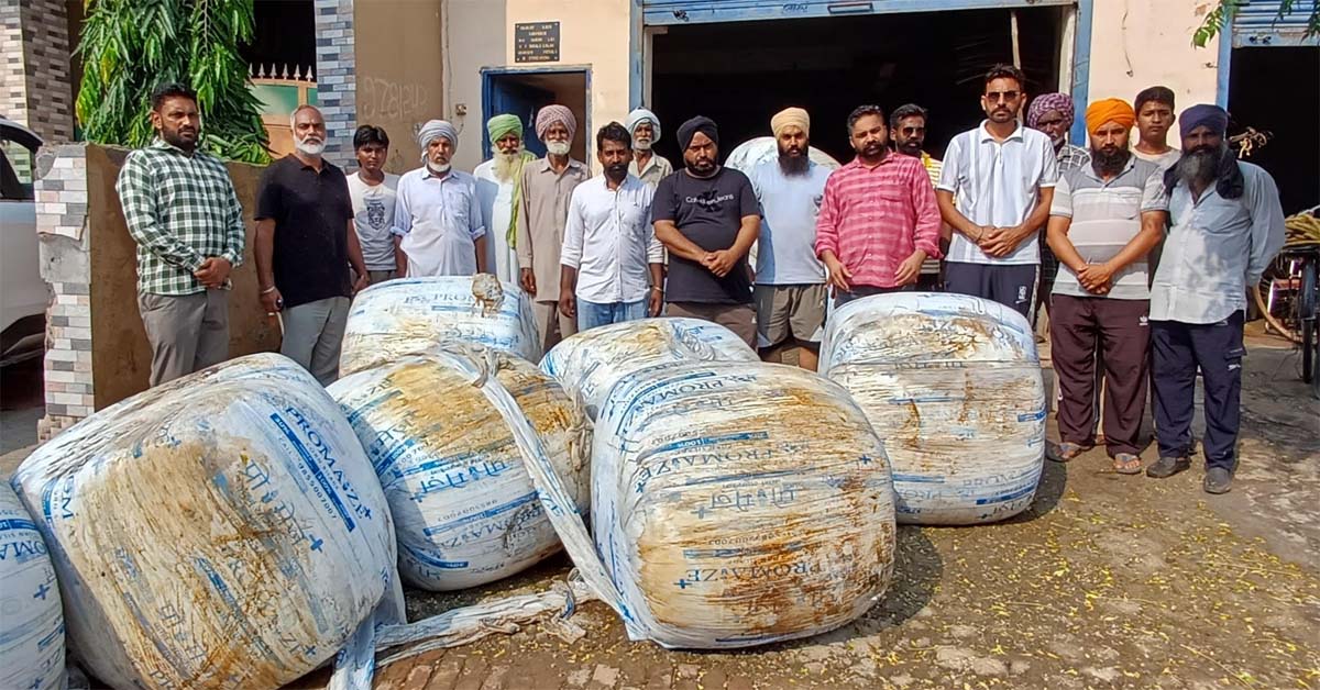 Green fodder and ration sent for animals in flood-affected areas.